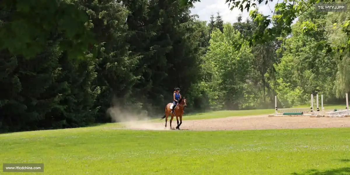 milan米兰🏓小球转动大梦想，每一次挥拍都是对生活的热情回应！